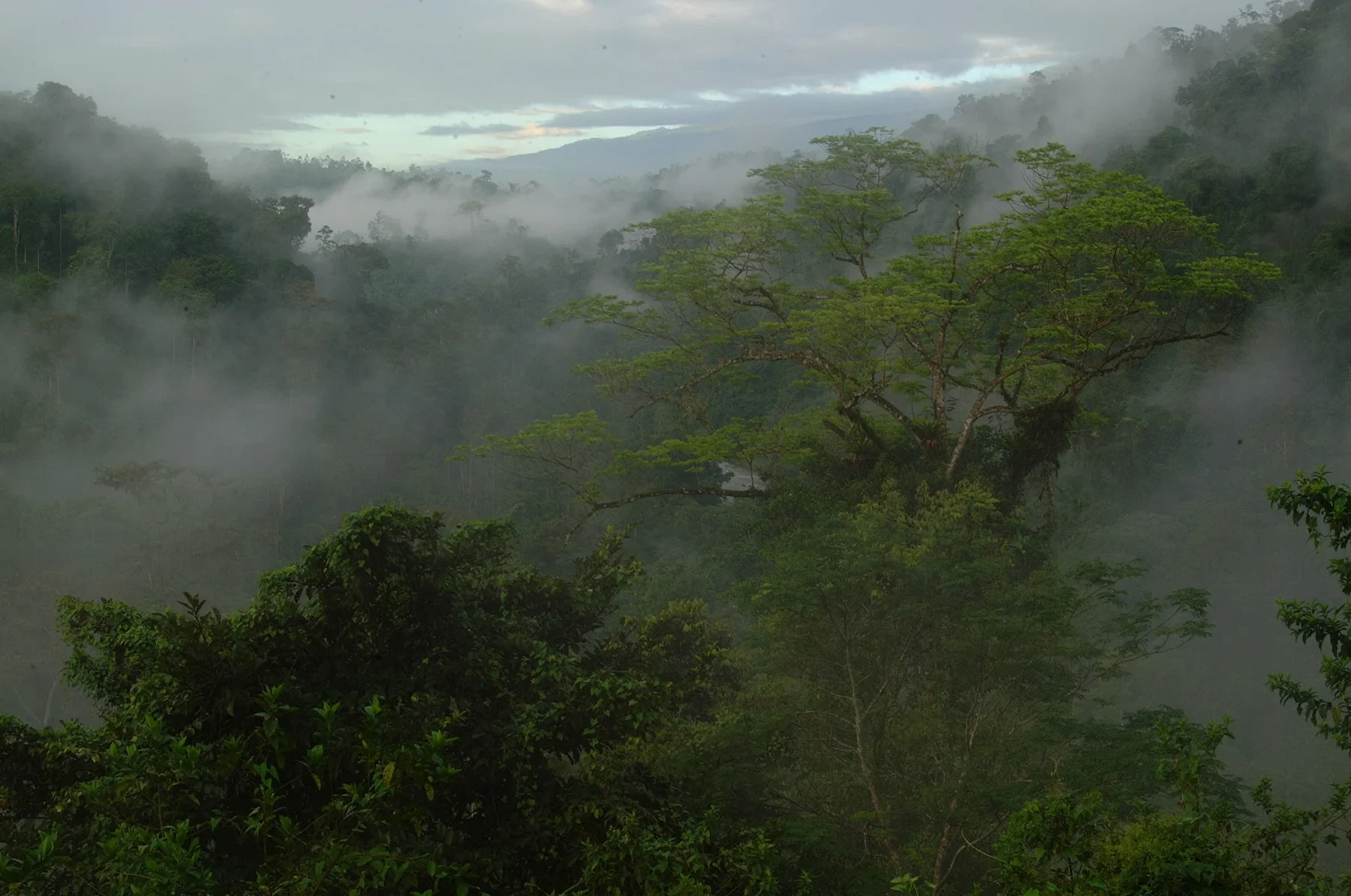 ATV jungle & waterfall